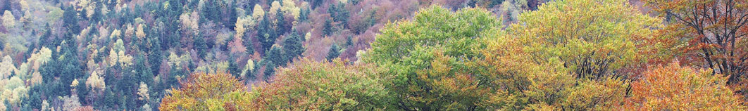 otono en la val d'aran