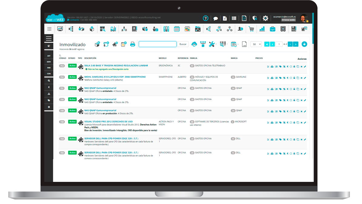 gestion inmovilizado ecoSoftWEB