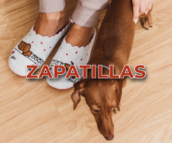 Zapatillas de mujer