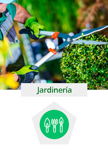 Servicio de Jardinería y Poda en Madrid