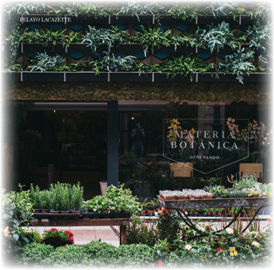 Materia Botánica, un nuevo concepto de floristería