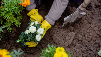 Grupo Bedunde ofrece servicios de jardinería para todo tipo de clientes